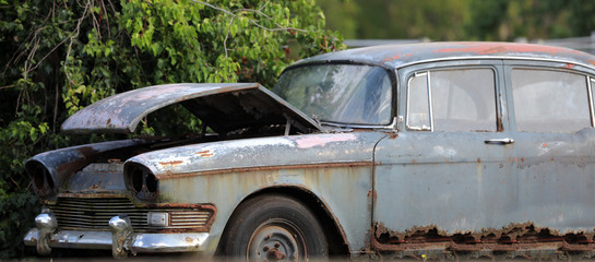 Autowrack Autofriedhof Rostlaube