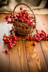 ripe red dogrose in a basket on a wooden