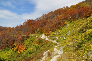 autumn in the mountains