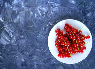 Fresh organic ripe red currant berries on grey white background. White plate with natural ripe organic berries with peduncles on old weathered gray backdrop, top view with copy space, isolated