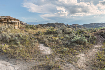 Badlands in the Red Deer River Valley at Dinosaur Provincial Park in Alberta, Canada