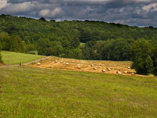 Sommer Gewitter Biosphäre Saarland Landschaft Tal Täler Hügel Landwirtschaft Jagd Natur Hunting...