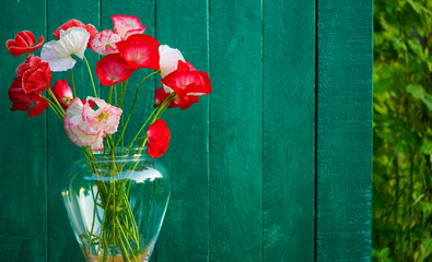 red poppies on a blue background