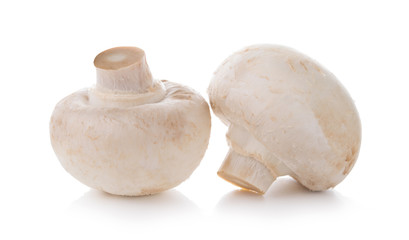 Group of mushrooms isolated on white background