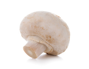 one champignon mushroom isolated on a white background