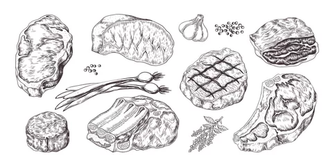 Fotobehang Steak. Vintage sketch with beef and pork chops ribs and fillet, butchery food products with garlic and pepper. Vector illustrations hand drawn fillet meat set with onion, garlic, pepper © SpicyTruffel