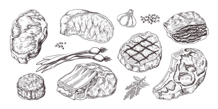 Steak. Vintage sketch with beef and pork chops ribs and fillet, butchery food products with garlic and pepper. Vector illustrations hand drawn fillet meat set with onion, garlic, pepper