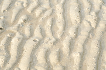 abstract lines wavy dry on golden sand at Thailand beach