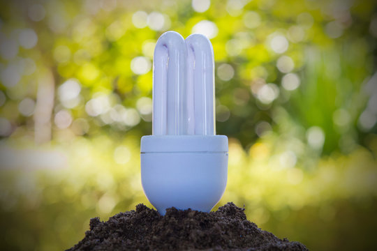 baco bulb consumption on earth
