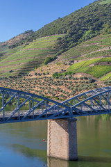 Fototapeta premium Vallée du Douro à Pinhão, Portugal