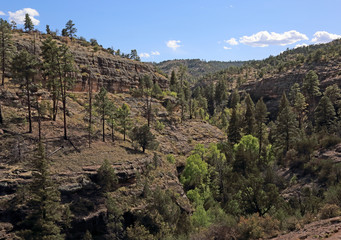 Fototapeta na wymiar The Gila National Forest wilderness shot in New Mexico.