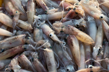 Whiteraw squid seafood in asian fresh market.