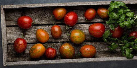 Fresh ripe tomatoes and fresh basil herb in a harvesting box on an old wooden table. Dark background.
