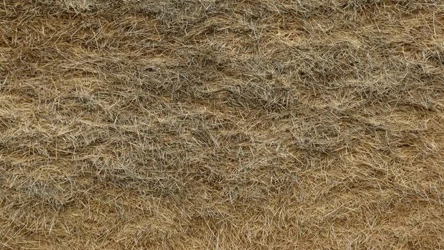 Large stack of hay. Hayrick for background texture. Close up
