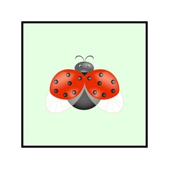 Ladybird isolated. Illustration ladybug in frame. Cute colorful sign red insect symbol spring, summer, garden. Template for t shirt, apparel, card, poster, etc. Design element. Vector illustration.