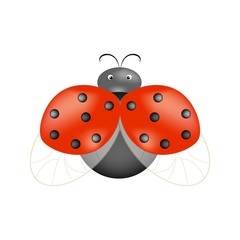 Fototapeta premium Ladybird isolated. Illustration ladybug. Cute colorful sign red insect symbol spring, summer, garden. Template for t shirt, apparel, card, poster, etc. Design element Vector illustration.