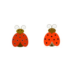 Ladybirds isolated. Illustration two ladybug. Cute colorful sign red insect symbol spring, summer, garden. Template for t shirt, apparel, card, poster, etc. Design element Vector illustration.