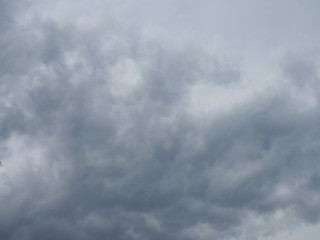 Fototapeta premium gray sky before the thunderstorm in autumn