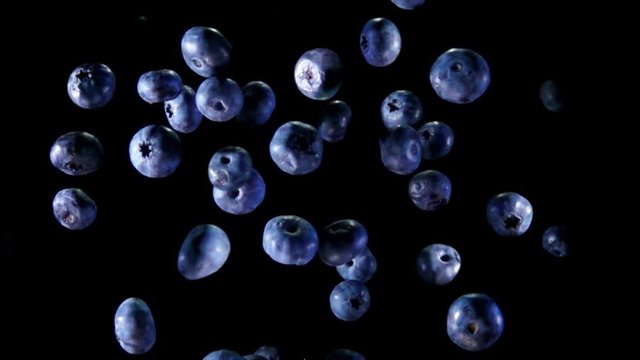 Large blueberry fly against to the camera on a black background in slow motion