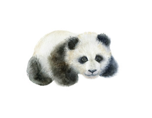 Fototapeta premium Panda bear watercolor hand draw illustration isolated on white background.
