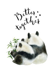 Panda bear watercolor hand draw illustration isolated on white background.