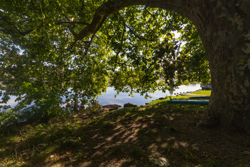 Fototapeta premium Lac, Allier, auvergne, france