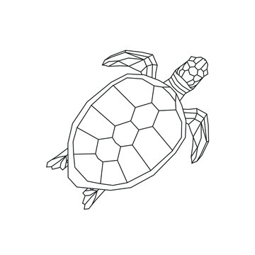 Sea turtle triangle polygonal model on white isolated background. Vector illustration