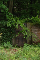 Old door and wall  in woods