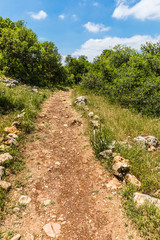 View from the Roe Deer Trail in The Ajloun Forest Reserve in Jordan