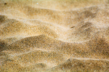Texture of sand on the beach