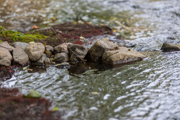 Ruisseaux, rochers, pierres, rock, water, nature 