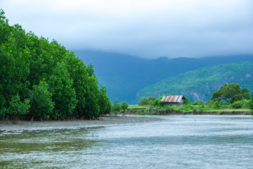 Travel by boat on calm river near foggy over mountain in rural thailand