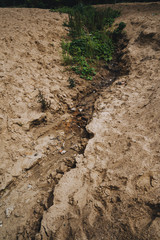 Sand crevice with green grass around. A natural phenomenon.