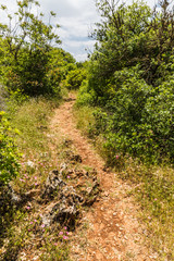View from the Roe Deer Trail in The Ajloun Forest Reserve in Jordan