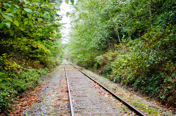 Obraz premium Qualicum Beach Railway Trail
