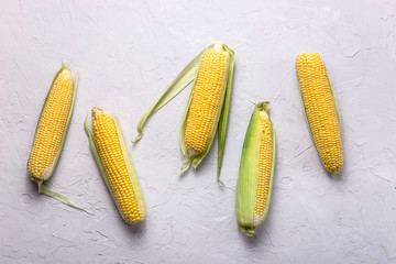 Raw ripe corn pumpkins on a gray texture table