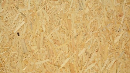 texture of wood
