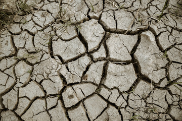 Cracked soil with dried grasses at dry season