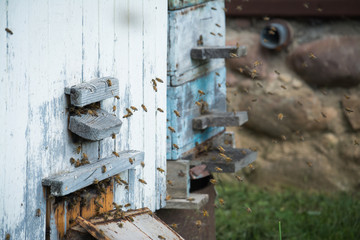 Beekeeping, beekeeper at work