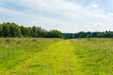 green road in wooded hills