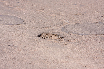 Bad roads. Hole in the asphalt, the risk of movement by car, bad asphalt, dangerous road, potholes in asphalt, pit unsafe hole road concept. Way markings in the pit.