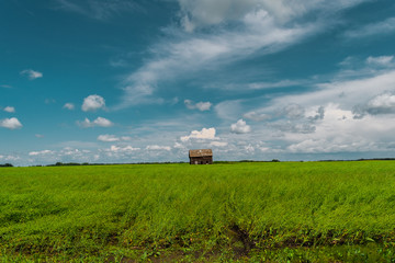 Little house on the prairie