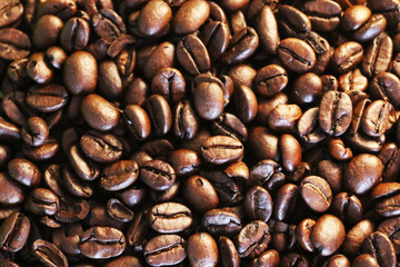 Kaffeebohnen