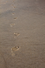 Footprints in the Sand