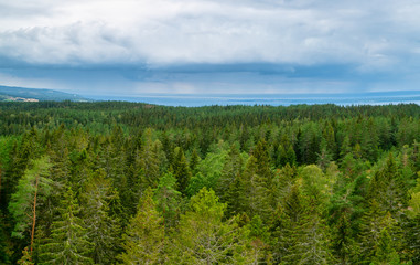 Wooded landscape