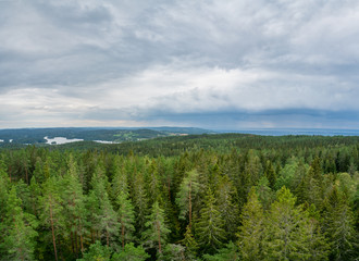 Wooded landscape