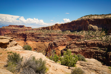 View at Canyonlands National Park in Utah during summer