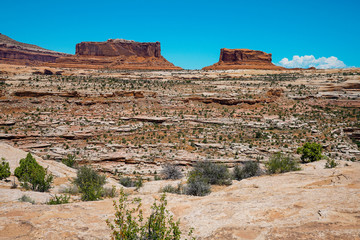 Unique rock formations at Canyonlands National Park in Utah during summer