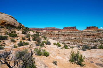 Fototapeta na wymiar View at Canyonlands National Park in Utah during summer