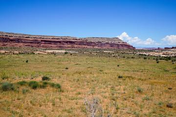 View at Canyonlands National Park in Utah during summer